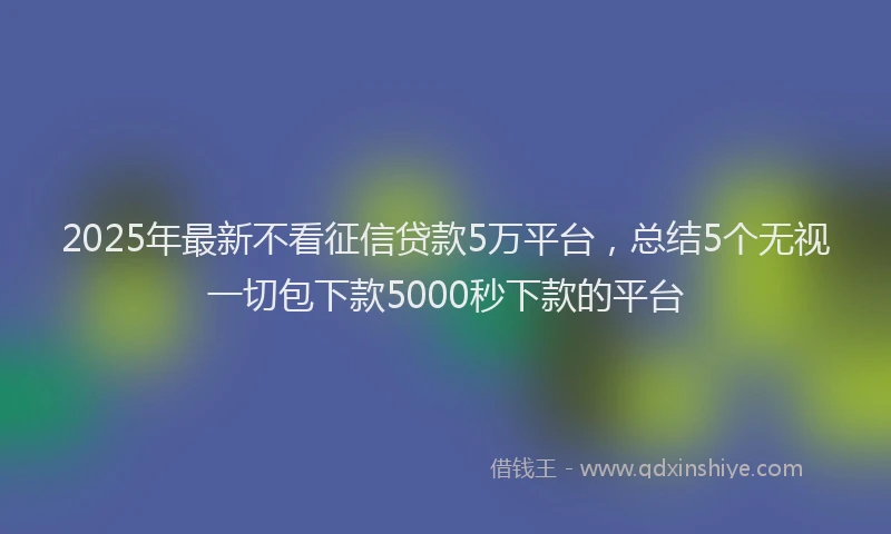 2025年最新不看征信贷款5万平台，总结5个无视一切包下款5000秒下款的平台