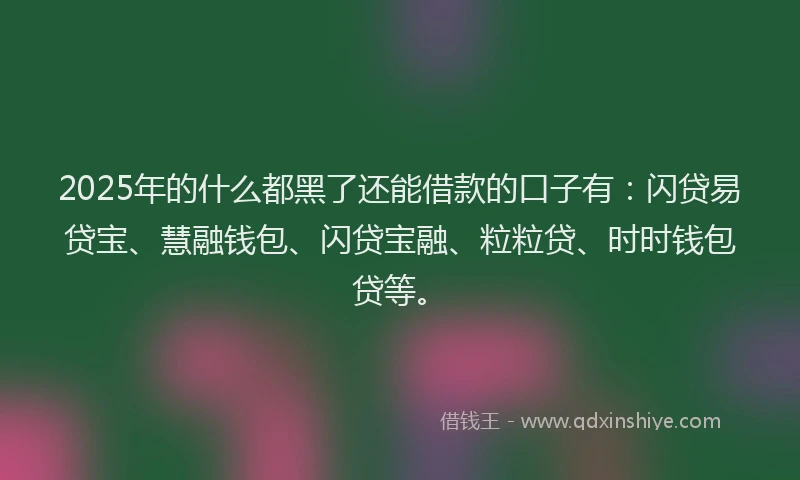 2025年的什么都黑了还能借款的口子有：闪贷易贷宝、慧融钱包、闪贷宝融、粒粒贷、时时钱包贷等。