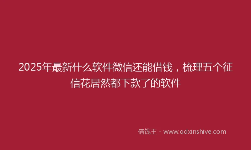 2025年最新什么软件微信还能借钱，梳理五个征信花居然都下款了的软件
