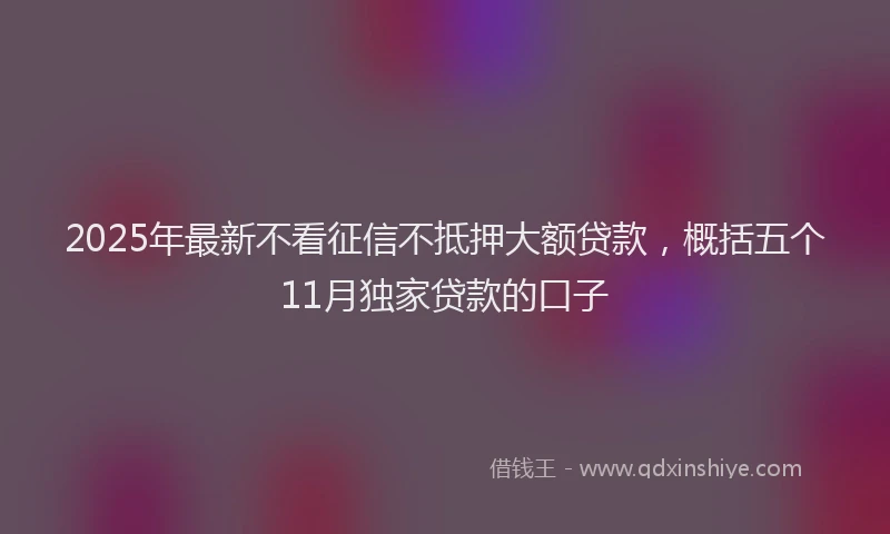 2025年最新不看征信不抵押大额贷款，概括五个11月独家贷款的口子