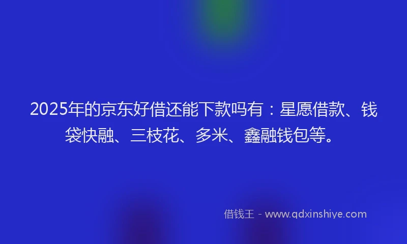2025年的京东好借还能下款吗有：星愿借款、钱袋快融、三枝花、多米、鑫融钱包等。