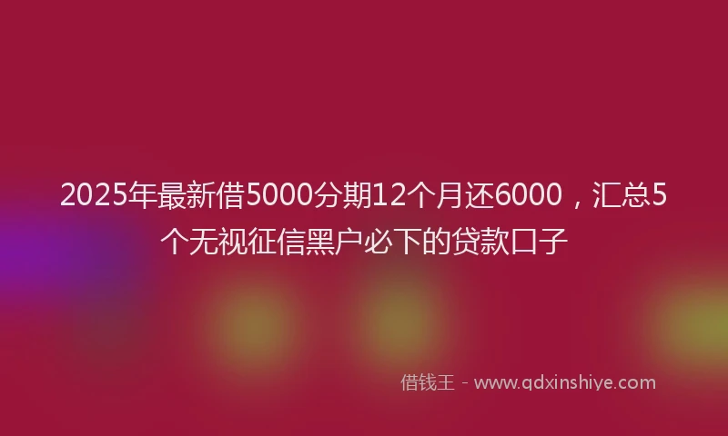 2025年最新借5000分期12个月还6000，汇总5个无视征信黑户必下的贷款口子