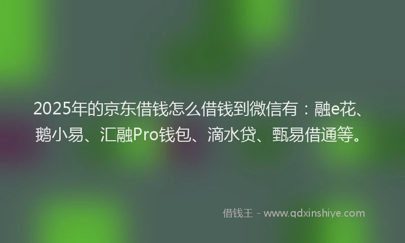 2025年的京东借钱怎么借钱到微信有：融e花、鹅小易、汇融Pro钱包、滴水贷、甄易借通等。