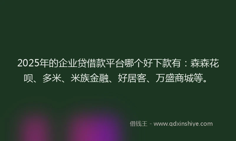 2025年的企业贷借款平台哪个好下款有：森森花呗、多米、米族金融、好居客、万盛商城等。