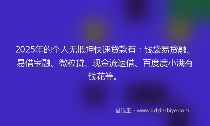 2025年的个人无抵押快速贷款有：钱袋易贷融、易借宝融、微粒贷、现金流速借、百度度小满有钱花等。