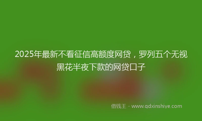 2025年最新不看征信高额度网贷，罗列五个无视黑花半夜下款的网贷口子
