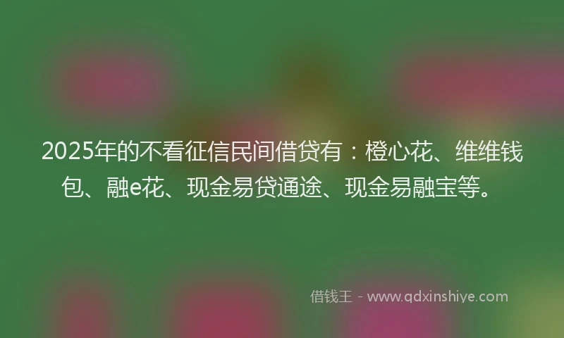 2025年的不看征信民间借贷有：橙心花、维维钱包、融e花、现金易贷通途、现金易融宝等。