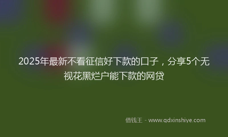 2025年最新不看征信好下款的口子，分享5个无视花黑烂户能下款的网贷