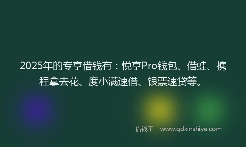 2025年的专享借钱有：悦享Pro钱包、借蛙、携程拿去花、度小满速借、银票速贷等。