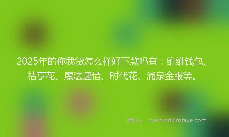 2025年的你我贷怎么样好下款吗有：维维钱包、桔享花、魔法速借、时代花、涌泉金服等。