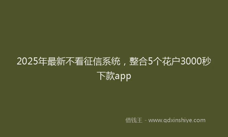 2025年最新不看征信系统，整合5个花户3000秒下款app