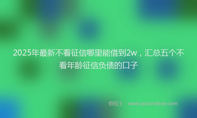 2025年最新不看征信哪里能借到2w，汇总五个不看年龄征信负债的口子