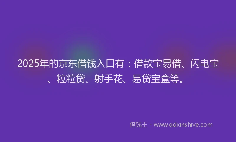 2025年的京东借钱入口有：借款宝易借、闪电宝、粒粒贷、射手花、易贷宝盒等。