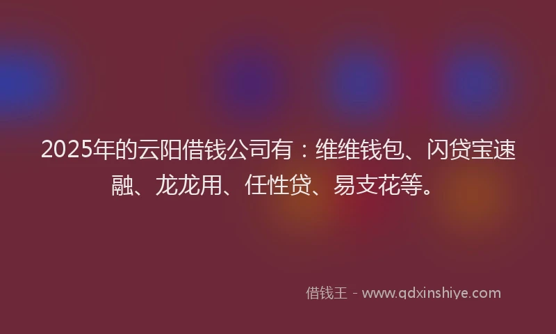 2025年的云阳借钱公司有：维维钱包、闪贷宝速融、龙龙用、任性贷、易支花等。