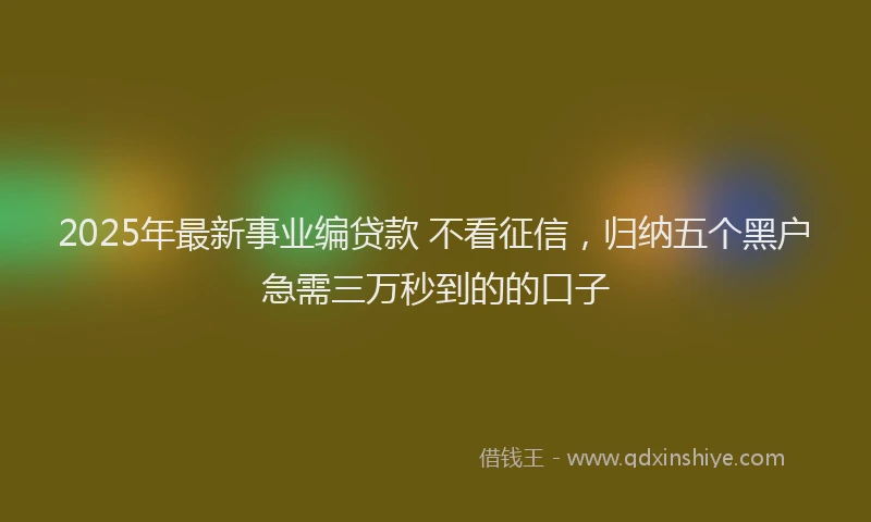 2025年最新事业编贷款 不看征信，归纳五个黑户急需三万秒到的的口子