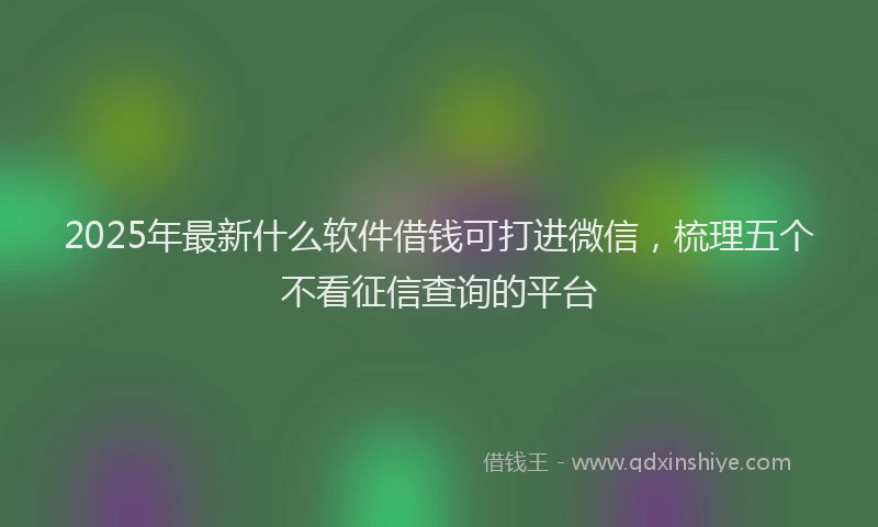 2025年最新什么软件借钱可打进微信，梳理五个不看征信查询的平台