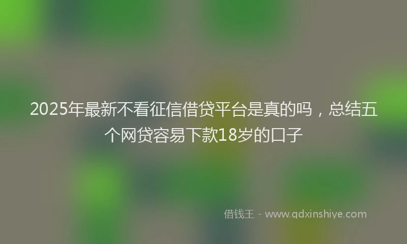 2025年最新不看征信借贷平台是真的吗，总结五个网贷容易下款18岁的口子