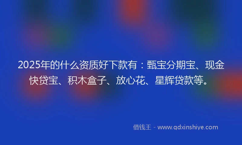 2025年的什么资质好下款有：甄宝分期宝、现金快贷宝、积木盒子、放心花、星辉贷款等。