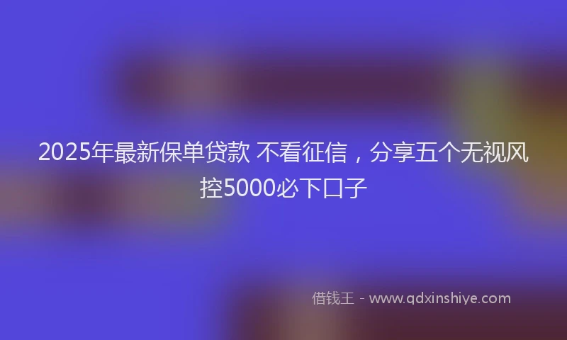 2025年最新保单贷款 不看征信，分享五个无视风控5000必下口子