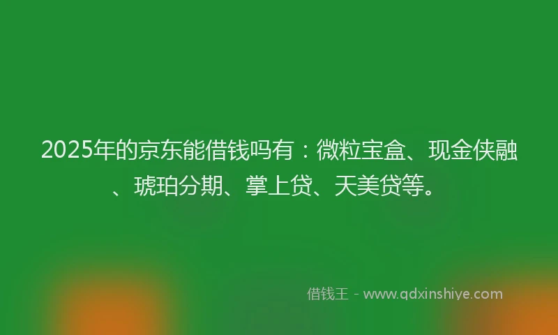 2025年的京东能借钱吗有：微粒宝盒、现金侠融、琥珀分期、掌上贷、天美贷等。