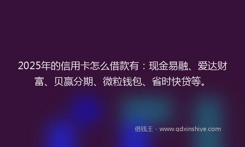 2025年的信用卡怎么借款有：现金易融、爱达财富、贝赢分期、微粒钱包、省时快贷等。