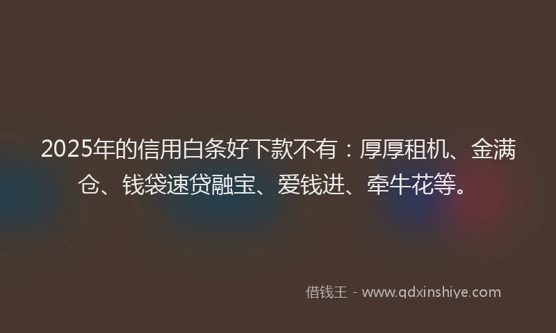 2025年的信用白条好下款不有：厚厚租机、金满仓、钱袋速贷融宝、爱钱进、牵牛花等。