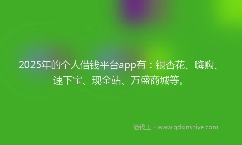 2025年的个人借钱平台app有：银杏花、嗨购、速下宝、现金站、万盛商城等。