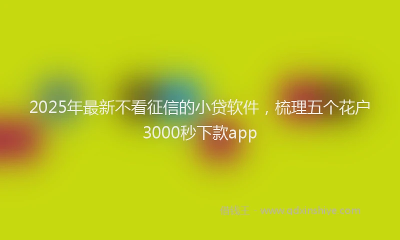 2025年最新不看征信的小贷软件，梳理五个花户3000秒下款app