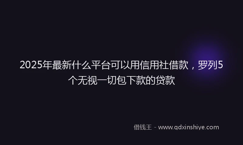 2025年最新什么平台可以用信用社借款，罗列5个无视一切包下款的贷款