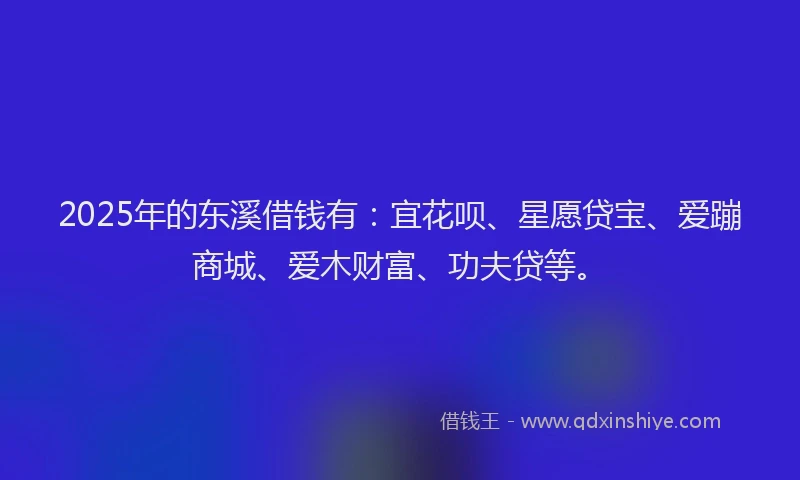 2025年的东溪借钱有：宜花呗、星愿贷宝、爱蹦商城、爱木财富、功夫贷等。