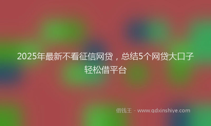 2025年最新不看征信网贷，总结5个网贷大口子轻松借平台