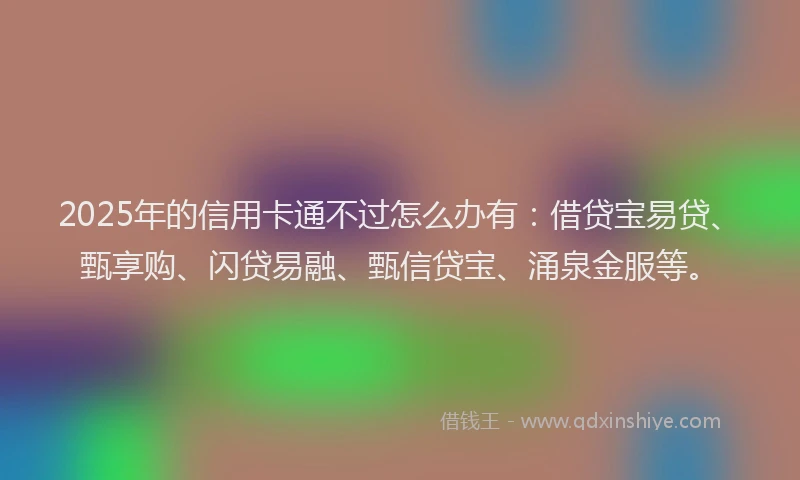 2025年的信用卡通不过怎么办有：借贷宝易贷、甄享购、闪贷易融、甄信贷宝、涌泉金服等。