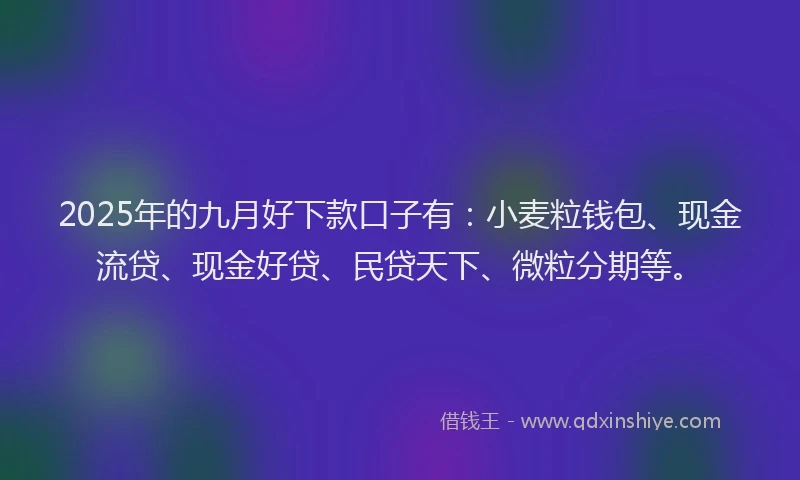 2025年的九月好下款口子有：小麦粒钱包、现金流贷、现金好贷、民贷天下、微粒分期等。