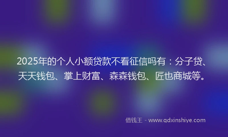 2025年的个人小额贷款不看征信吗有：分子贷、天天钱包、掌上财富、森森钱包、匠也商城等。