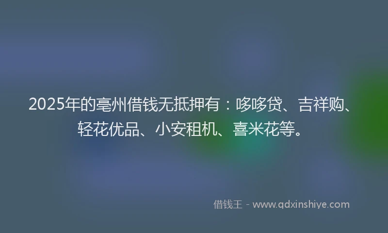 2025年的亳州借钱无抵押有：哆哆贷、吉祥购、轻花优品、小安租机、喜米花等。