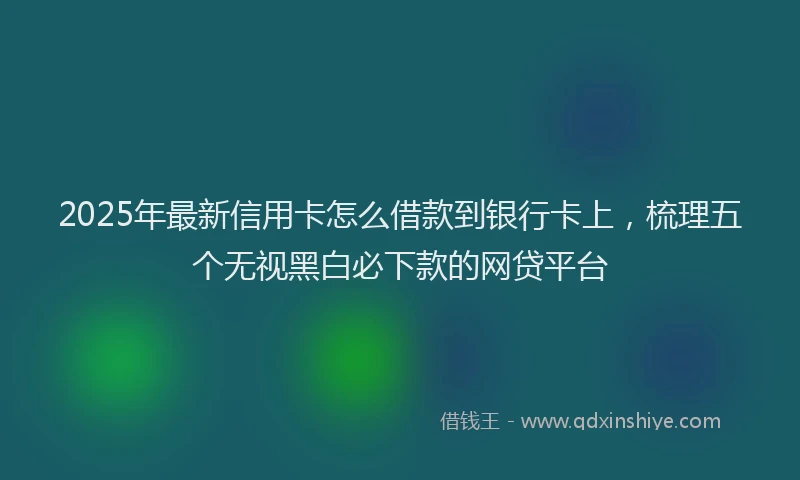 2025年最新信用卡怎么借款到银行卡上，梳理五个无视黑白必下款的网贷平台