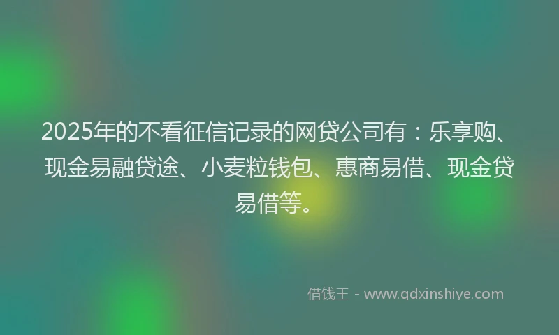 2025年的不看征信记录的网贷公司有：乐享购、现金易融贷途、小麦粒钱包、惠商易借、现金贷易借等。
