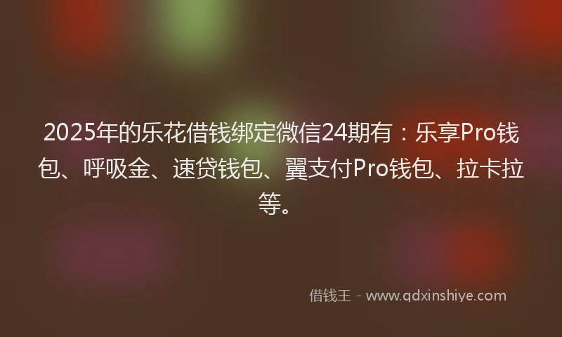 2025年的乐花借钱绑定微信24期有：乐享Pro钱包、呼吸金、速贷钱包、翼支付Pro钱包、拉卡拉等。