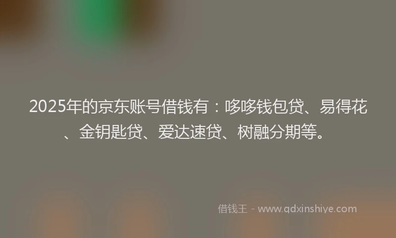 2025年的京东账号借钱有：哆哆钱包贷、易得花、金钥匙贷、爱达速贷、树融分期等。