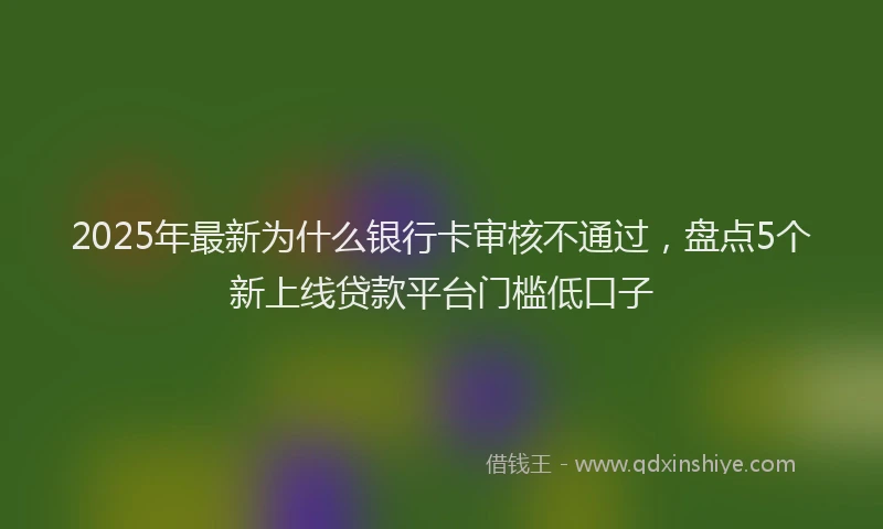 2025年最新为什么银行卡审核不通过，盘点5个新上线贷款平台门槛低口子