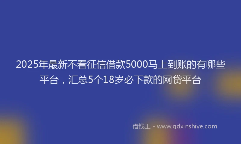 2025年最新不看征信借款5000马上到账的有哪些平台，汇总5个18岁必下款的网贷平台