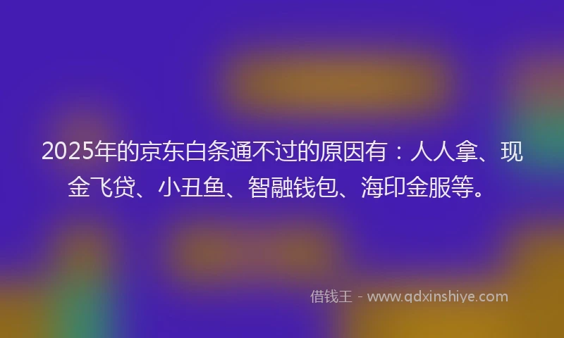 2025年的京东白条通不过的原因有：人人拿、现金飞贷、小丑鱼、智融钱包、海印金服等。