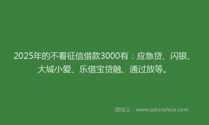 2025年的不看征信借款3000有：应急贷、闪银、大城小爱、乐借宝贷融、通过放等。