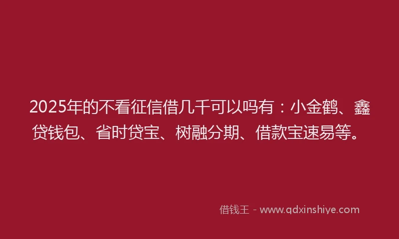2025年的不看征信借几千可以吗有：小金鹤、鑫贷钱包、省时贷宝、树融分期、借款宝速易等。