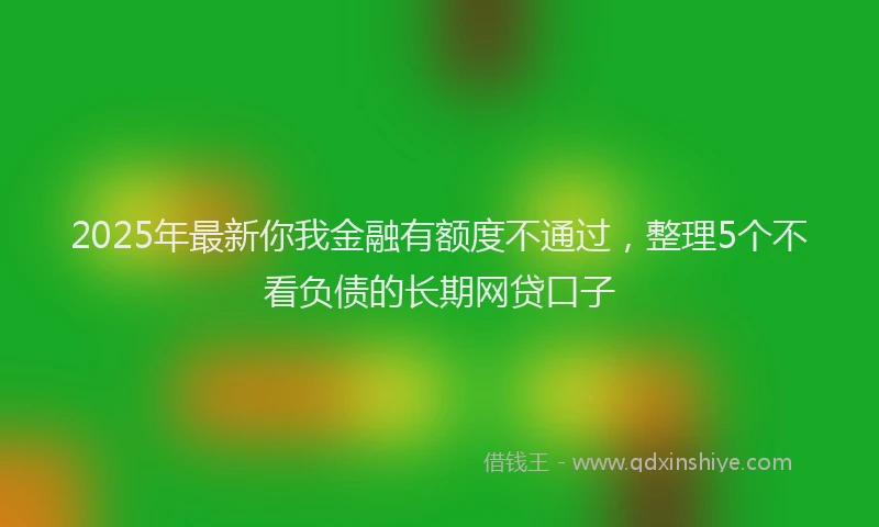 2025年最新你我金融有额度不通过，整理5个不看负债的长期网贷口子