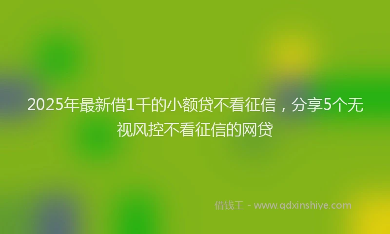 2025年最新借1千的小额贷不看征信，分享5个无视风控不看征信的网贷