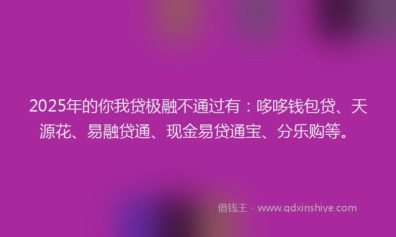 2025年的你我贷极融不通过有：哆哆钱包贷、天源花、易融贷通、现金易贷通宝、分乐购等。