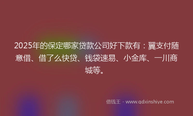 2025年的保定哪家贷款公司好下款有：翼支付随意借、借了么快贷、钱袋速易、小金库、一川商城等。