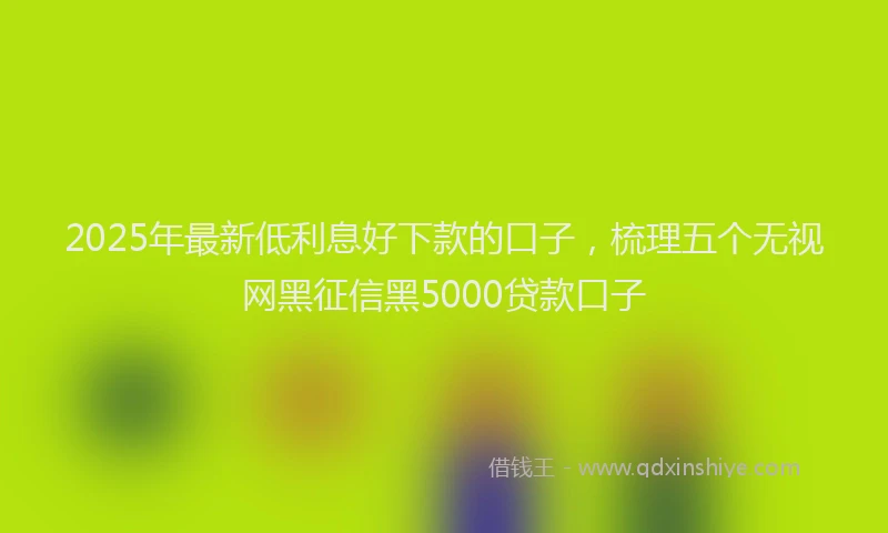 2025年最新低利息好下款的口子，梳理五个无视网黑征信黑5000贷款口子
