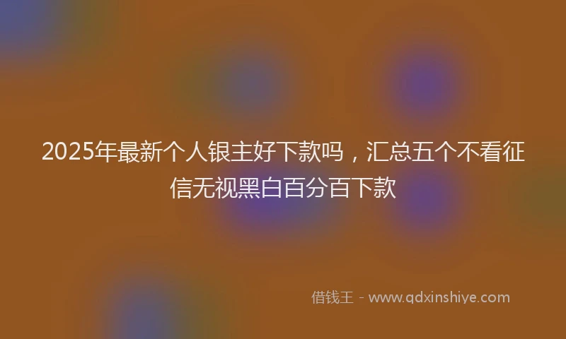 2025年最新个人银主好下款吗，汇总五个不看征信无视黑白百分百下款